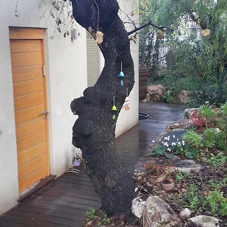 Villa Oak Shade Bethlehem of Galilee Exterior foto